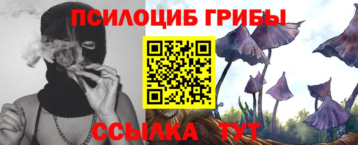 Псилоцибиновые грибы Magic Shrooms  Галлюциногенные грибы мухоморы  Юрга  Вход с VPN 