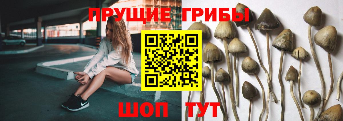 Галлюциногенные грибы мицелий Юрга